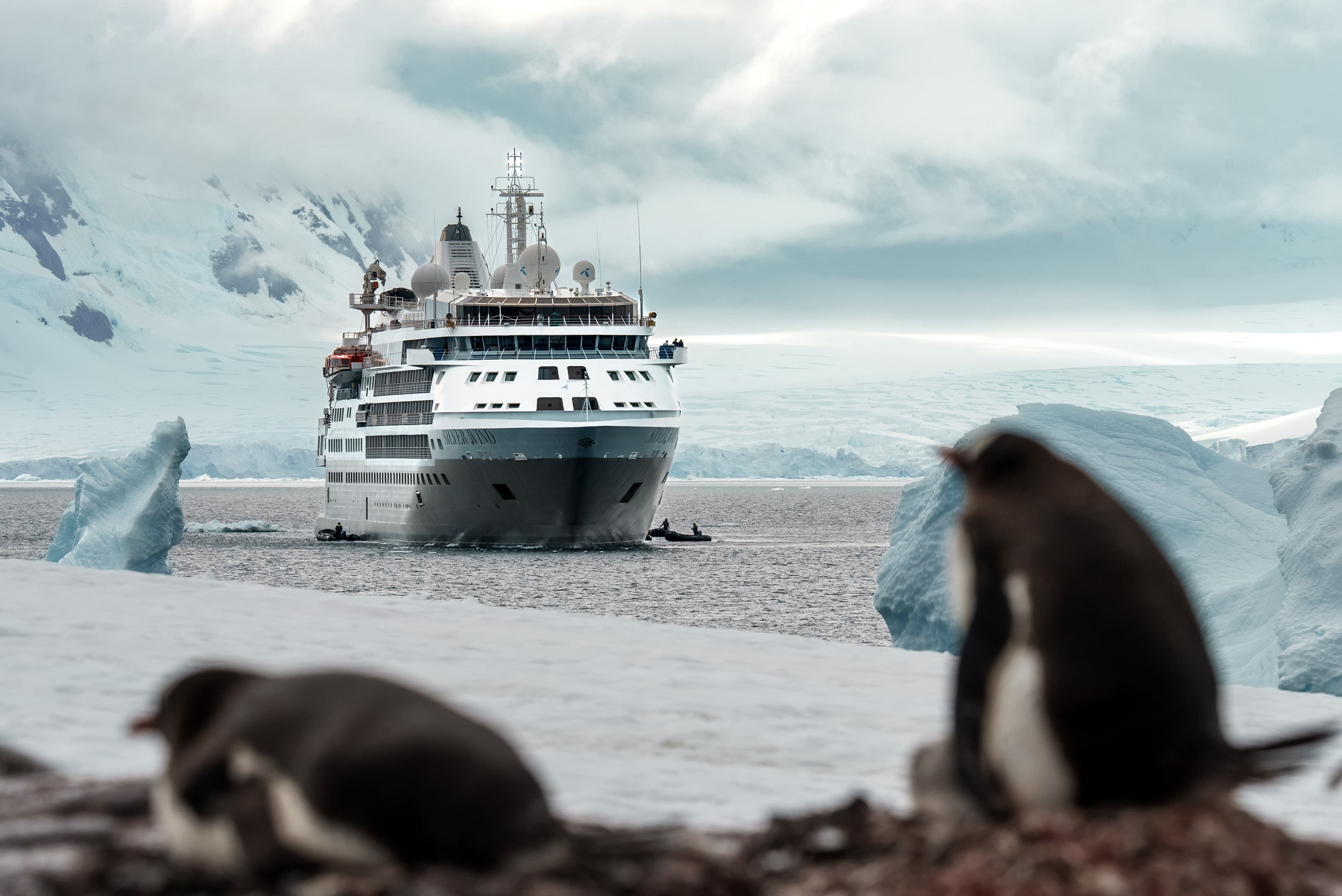 A cruise ship navigates icy Antarctic waters, framed by blurred penguins and towering snowy glaciers.